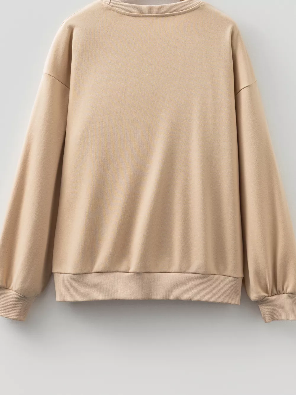 Embroidered Flower Pattern Drop Shoulder Sweatshirt, image 5