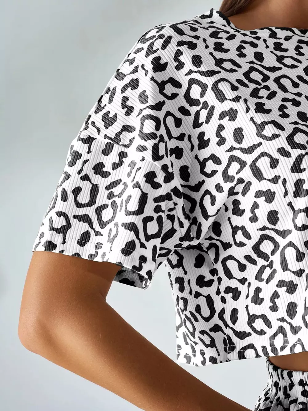 Leopard Print Crop Top and High-Waisted Shorts Set, image 3