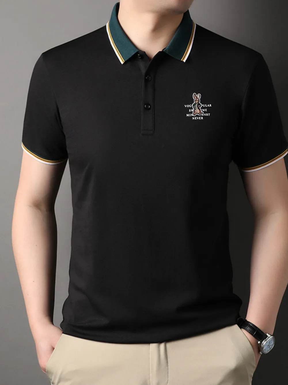 Men's Plus Size Collared Neck Short Sleeve Polo, image 5