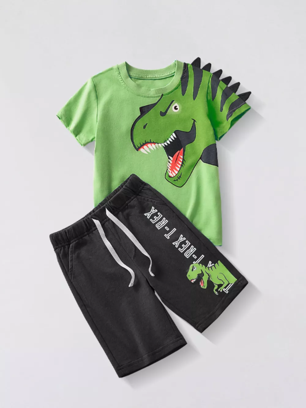 Children's Dinosaur Graphic Tee and Shorts Set