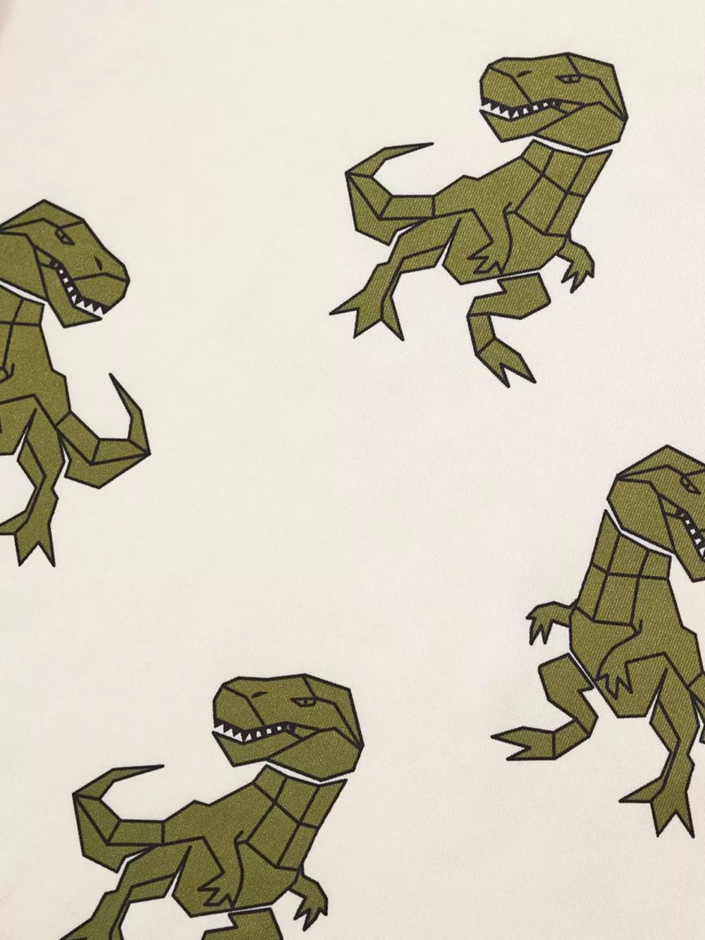 Children's Dinosaur Print Short Sleeve Tee and Shorts Set, image 2