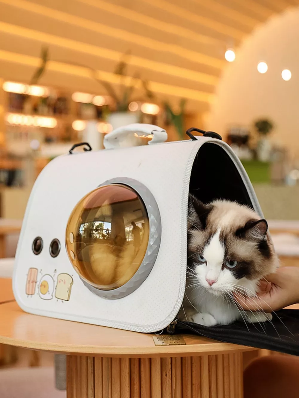 Portable Bubble Window Pet Carrier Bag, image 2