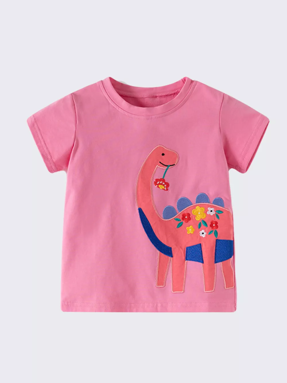 Children's Dinosaur Embroidered Short Sleeve T-Shirt, image 2