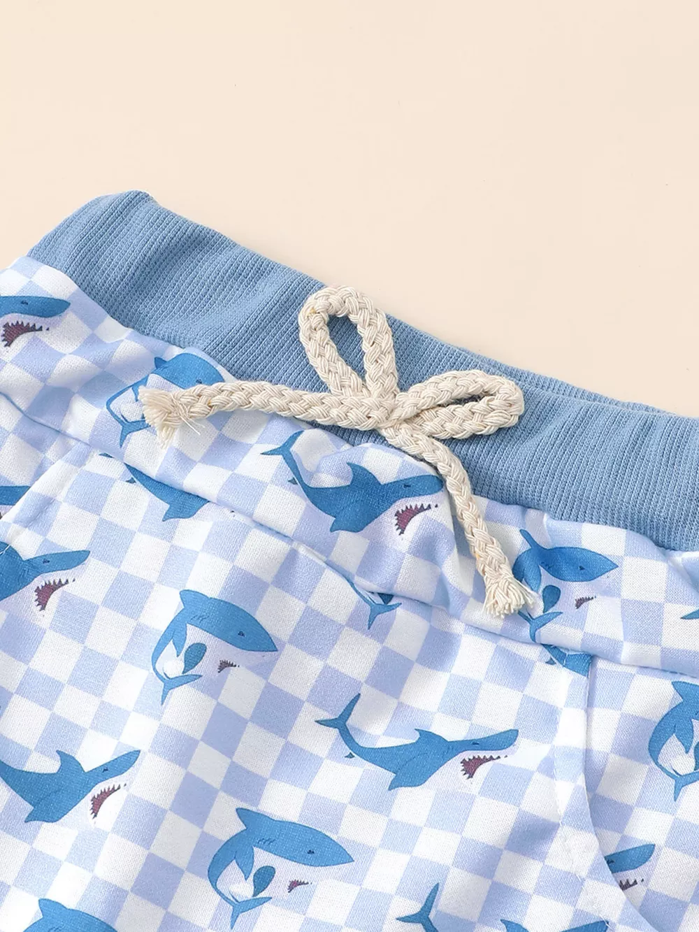 Children‘s Shark Hoodie & Shorts Set, image 6