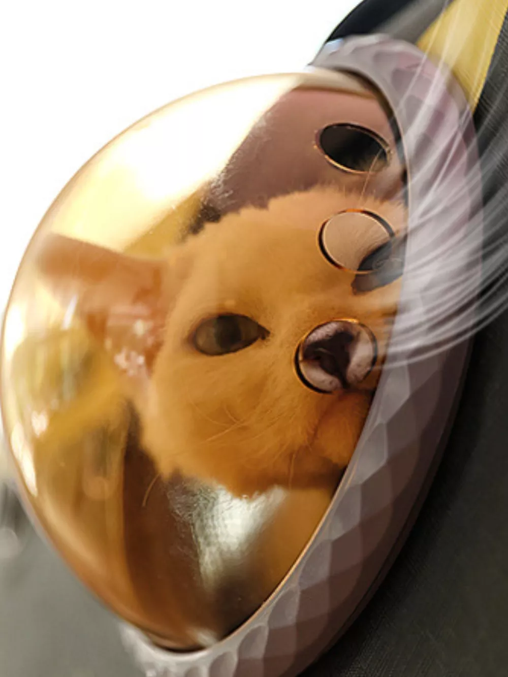 Portable Bubble Window Pet Carrier Bag, image 8