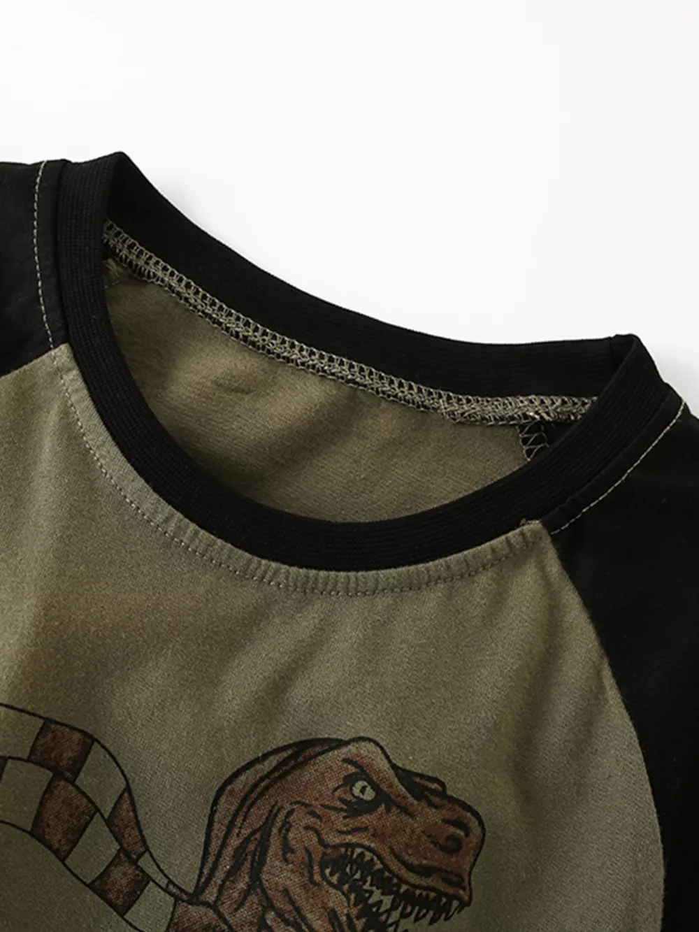 Children's Dinosaur Graphic Raglan Sleeve T-Shirt, image 3