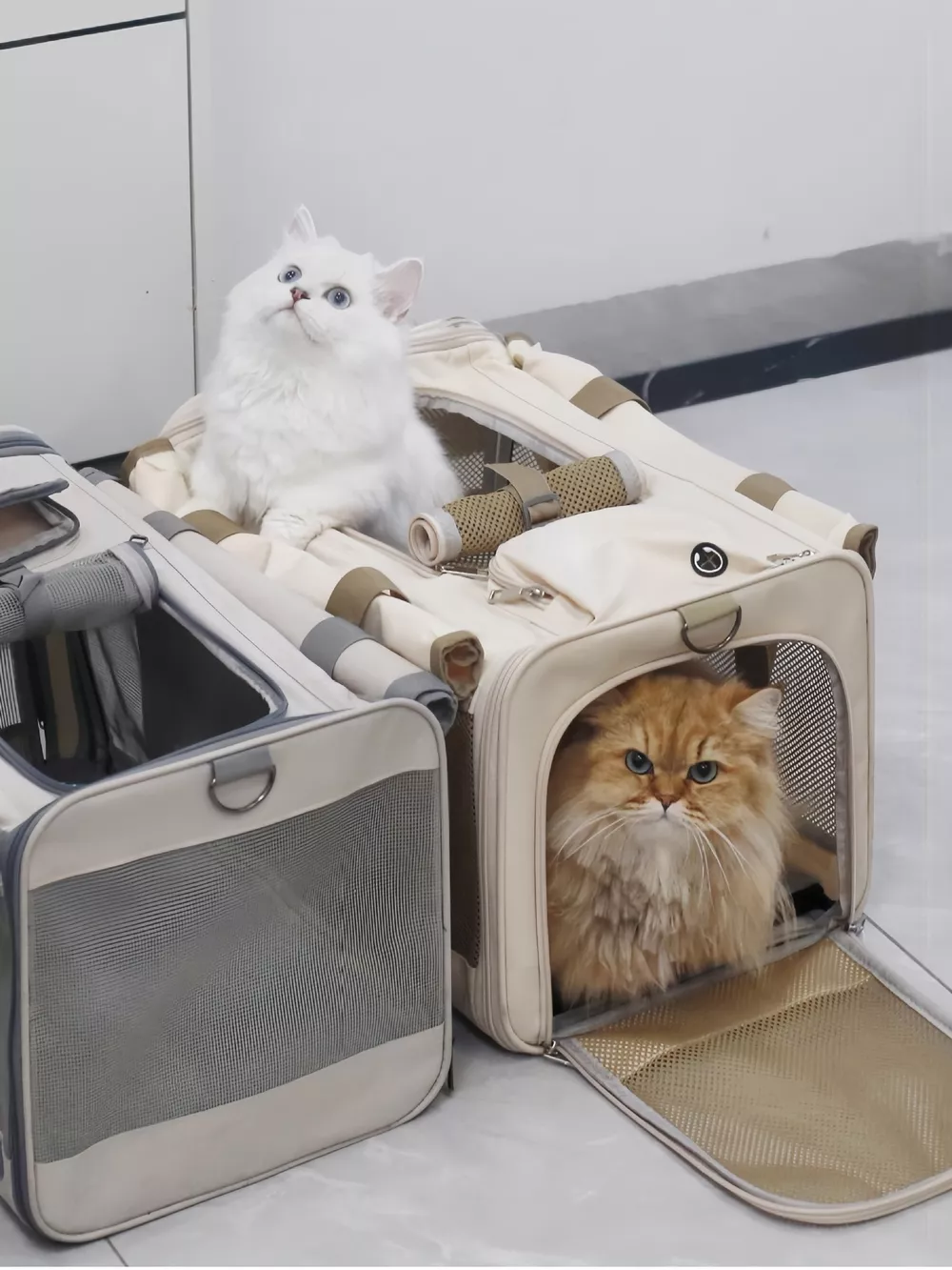 Comfortable Breathable Pet Carrier Bag, image 6