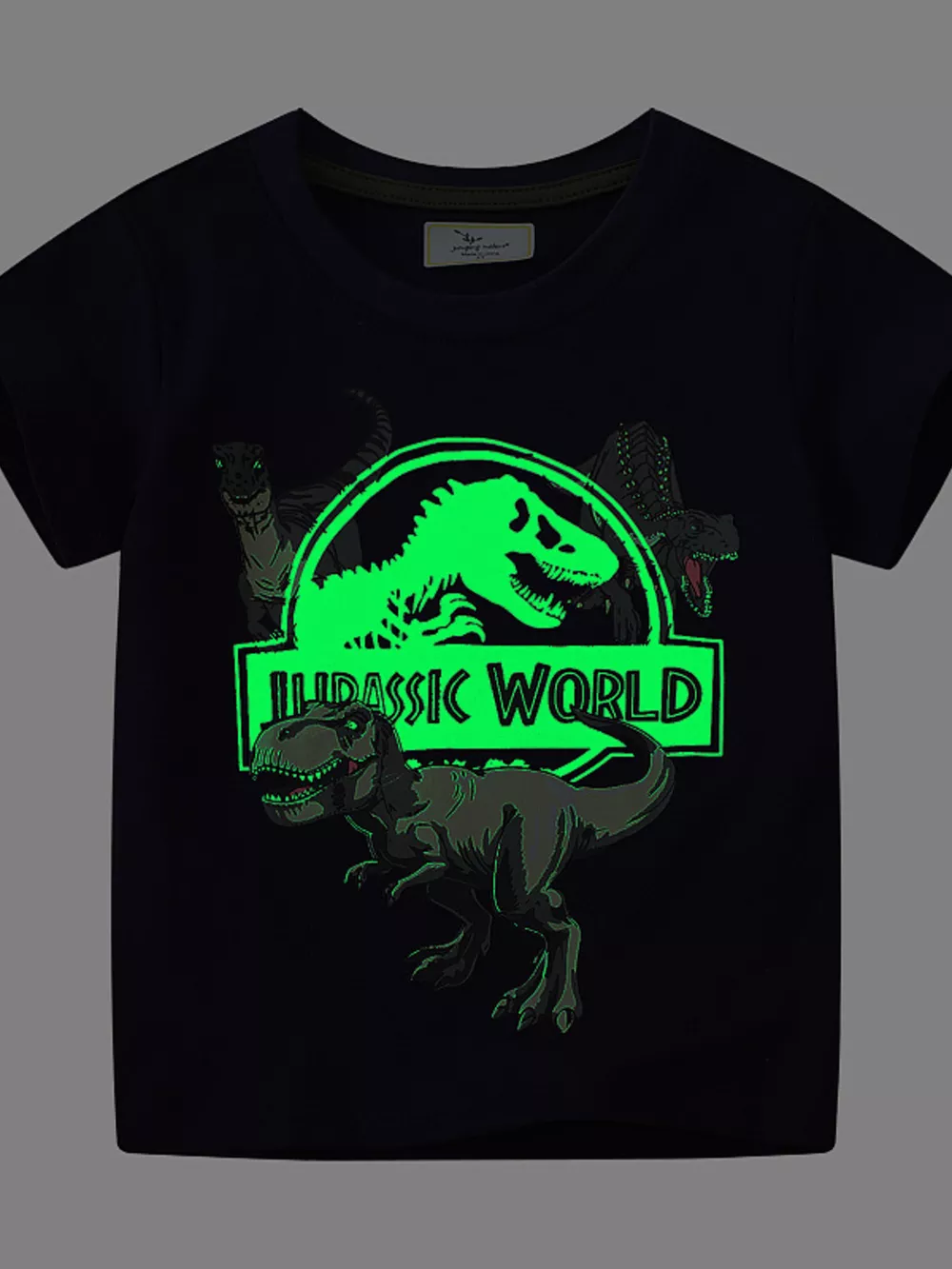 Children's Jurassic World Graphic Short Sleeve T-Shirt, image 4