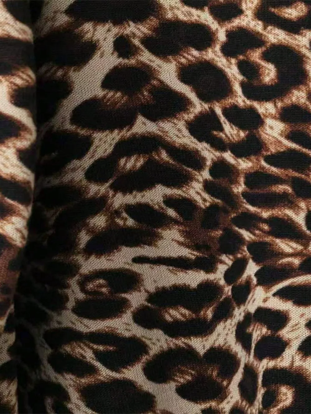 Hooded Leopard Lined Zip-Up Outerwear, image 3