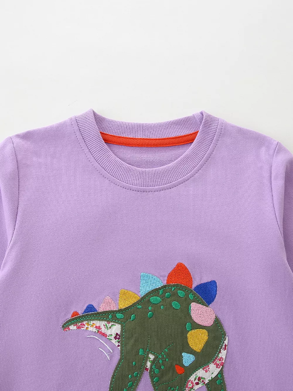 Children's Dinosaur Graphic Round Neck Sweatshirt, image 4