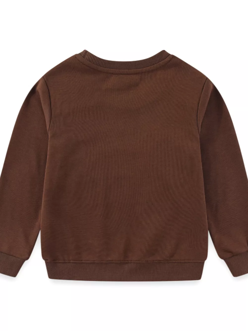 Children's Dinosaur Embroidered Crew Neck Sweatshirt, image 2