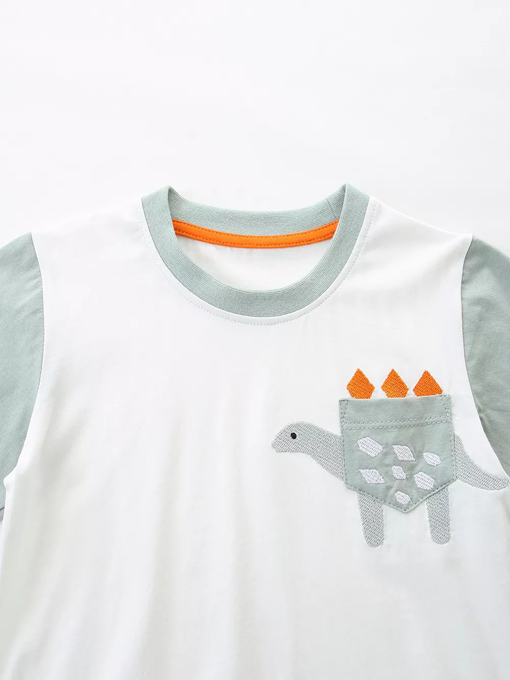Children's Dinosaur Short Sleeve Tee and Shorts Set, image 3