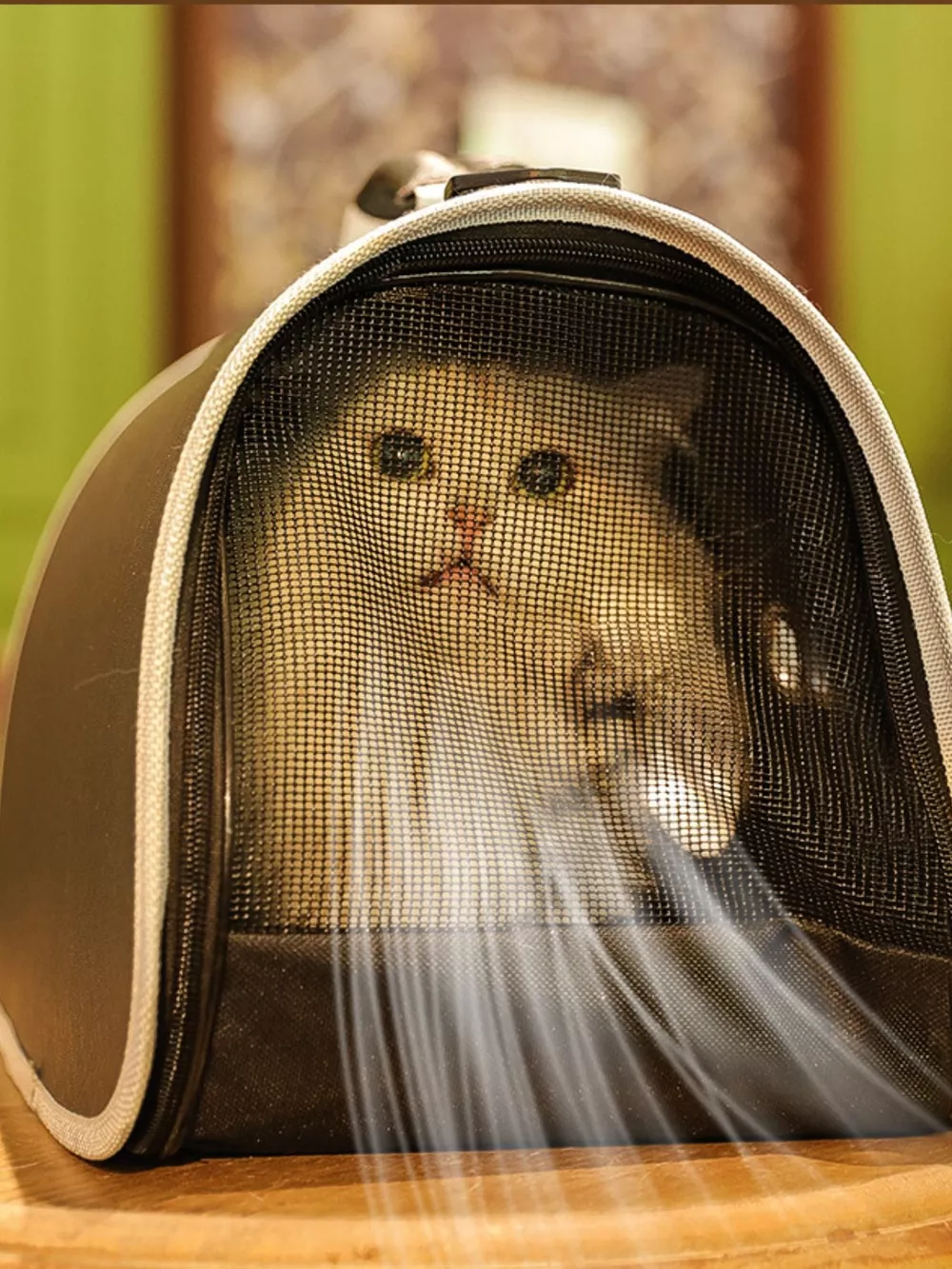Portable Bubble Window Pet Carrier Bag, image 7
