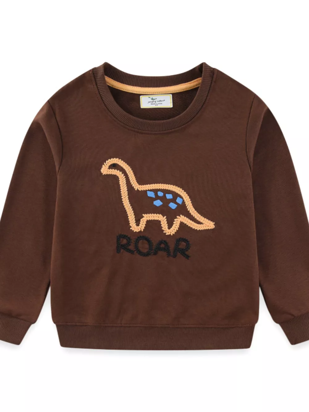 Children's Dinosaur Embroidered Crew Neck Sweatshirt