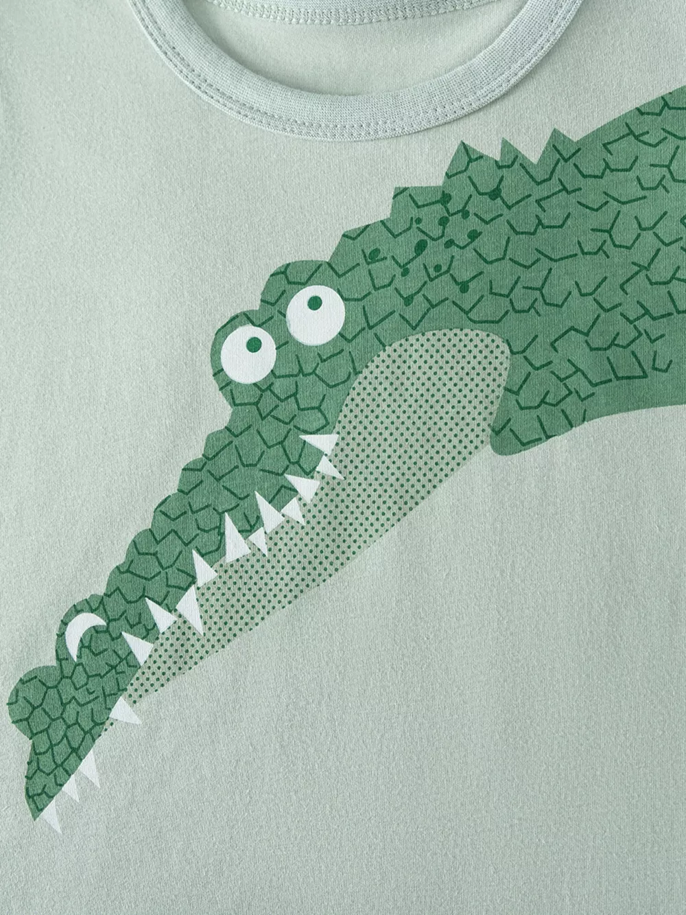Children's Crocodile Graphic Tee & Shorts Set, image 5
