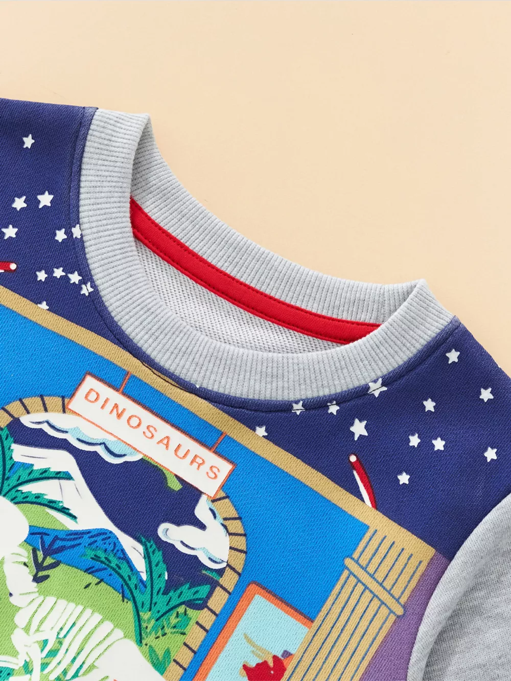 Children's Dinosaur Museum Graphic Crew Neck Sweatshirt, image 4