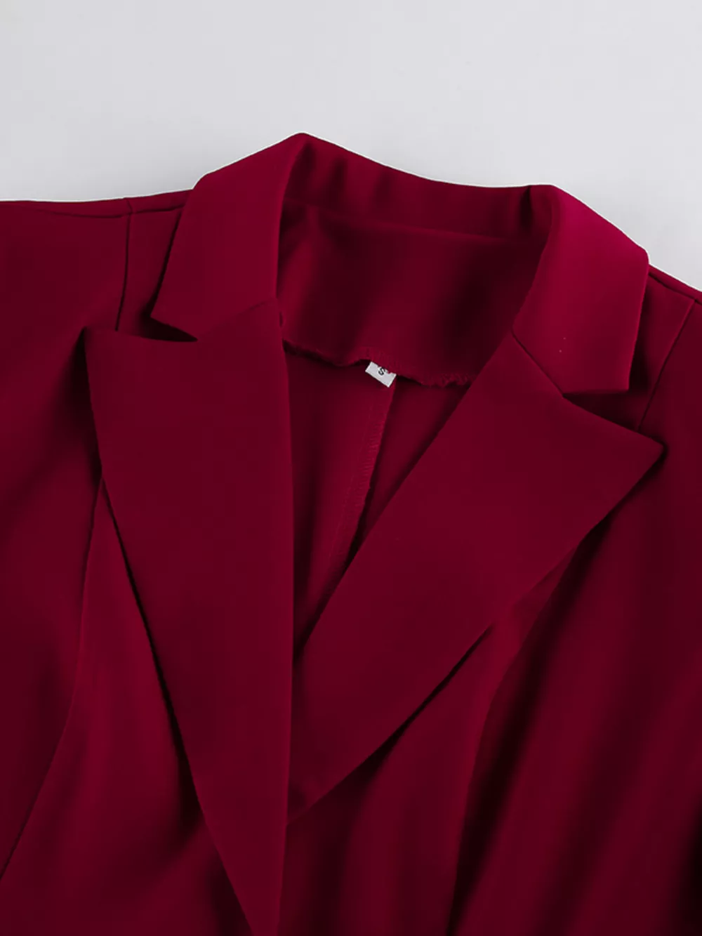 Single-Breasted Blazer and Wide-Leg Pants Set, image 9