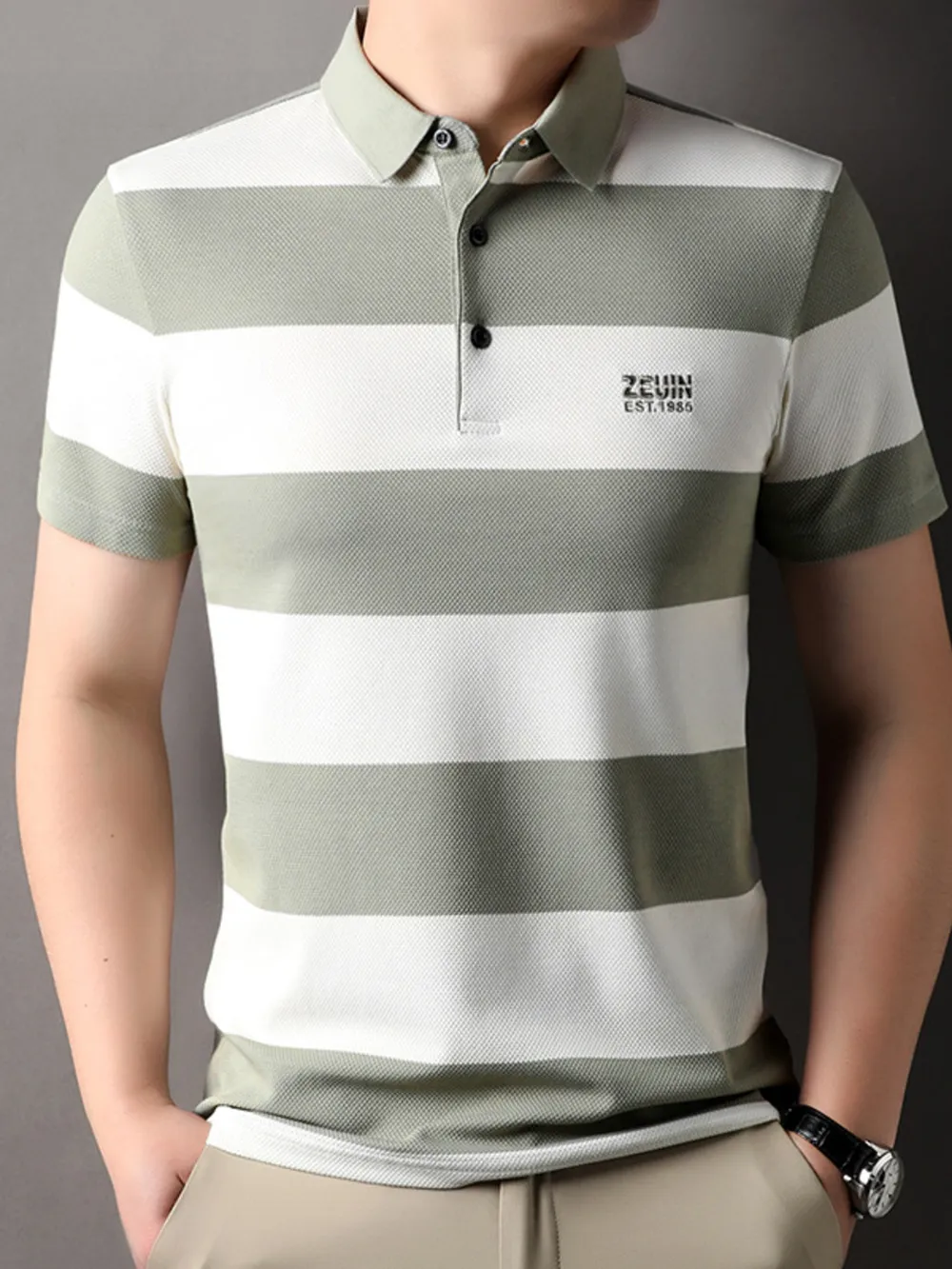 Men's Plus Size Striped Short Sleeve Polo, image 2