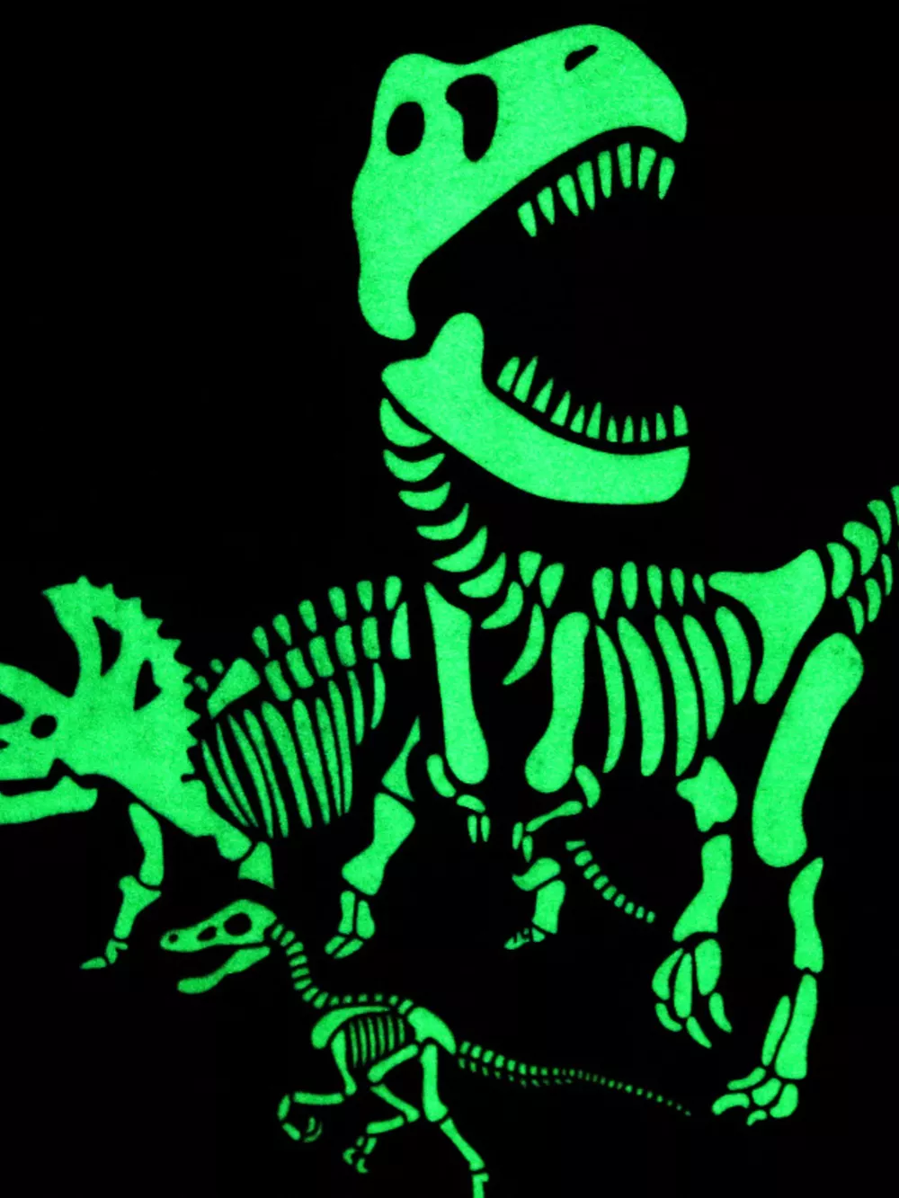 Children's Glow In The Dark Dinosaur Skeleton Graphic Crew Neck T-Shirt, image 3
