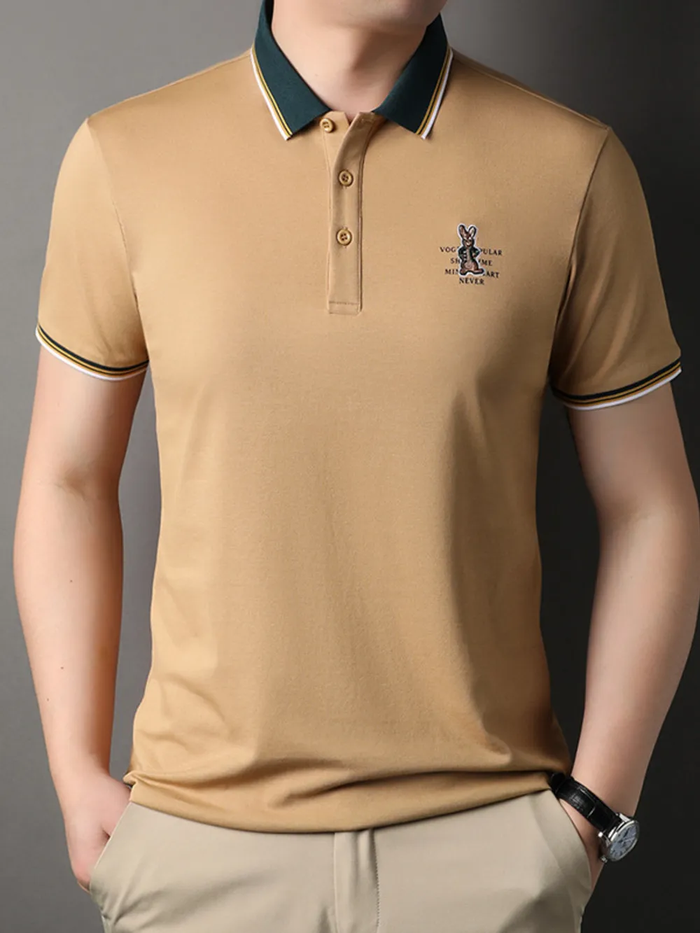 Men's Plus Size Collared Neck Short Sleeve Polo, image 3