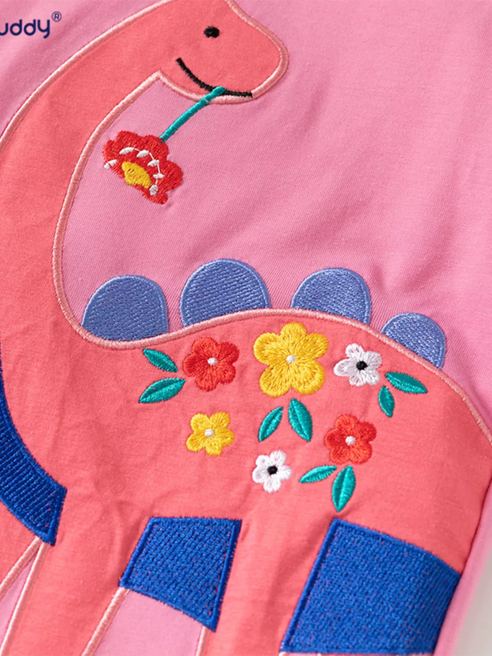 Children's Dinosaur Embroidered Short Sleeve T-Shirt, image 3