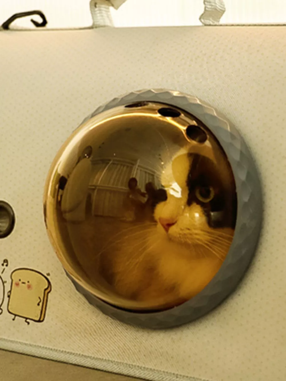Portable Bubble Window Pet Carrier Bag, image 5