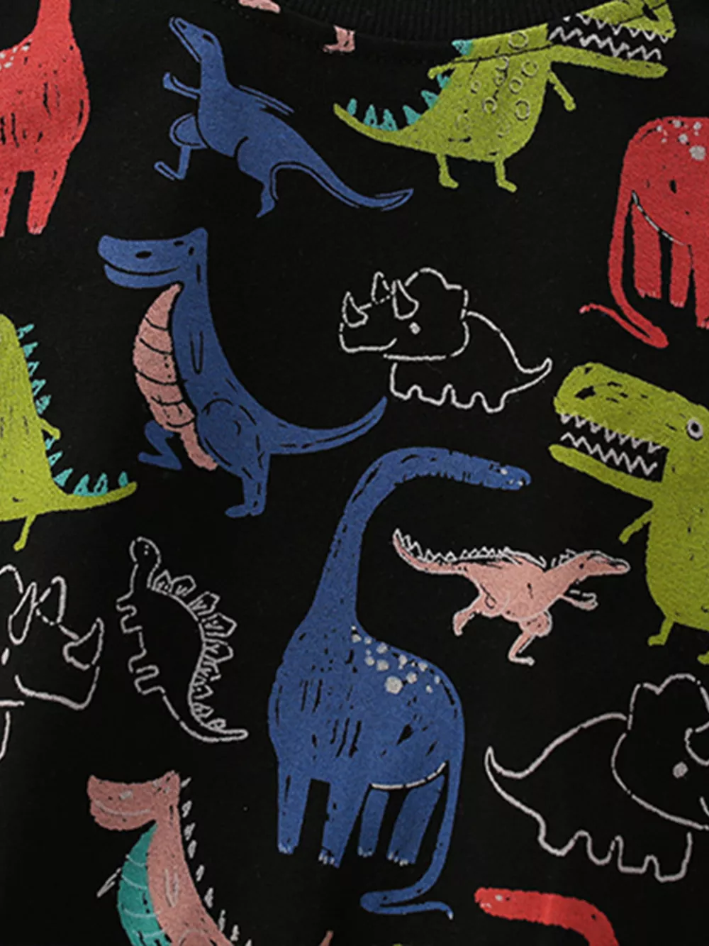 Children's Dinosaur Print Crew Neck Sweatshirt, image 4