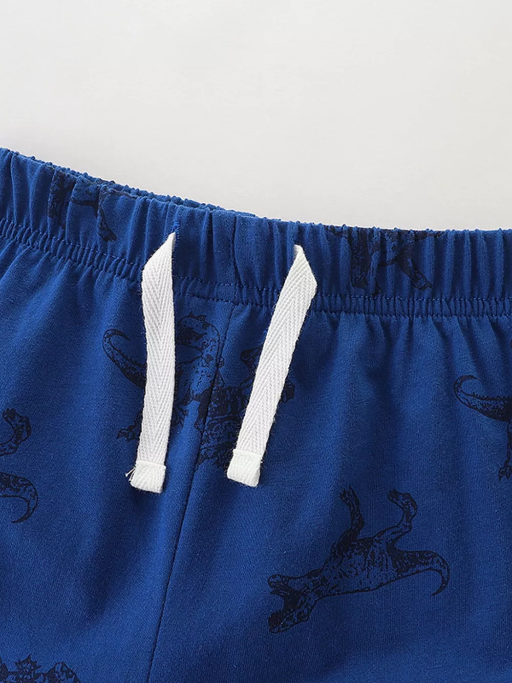 Children's Dinosaur Graphic Tee and Shorts Set, image 3