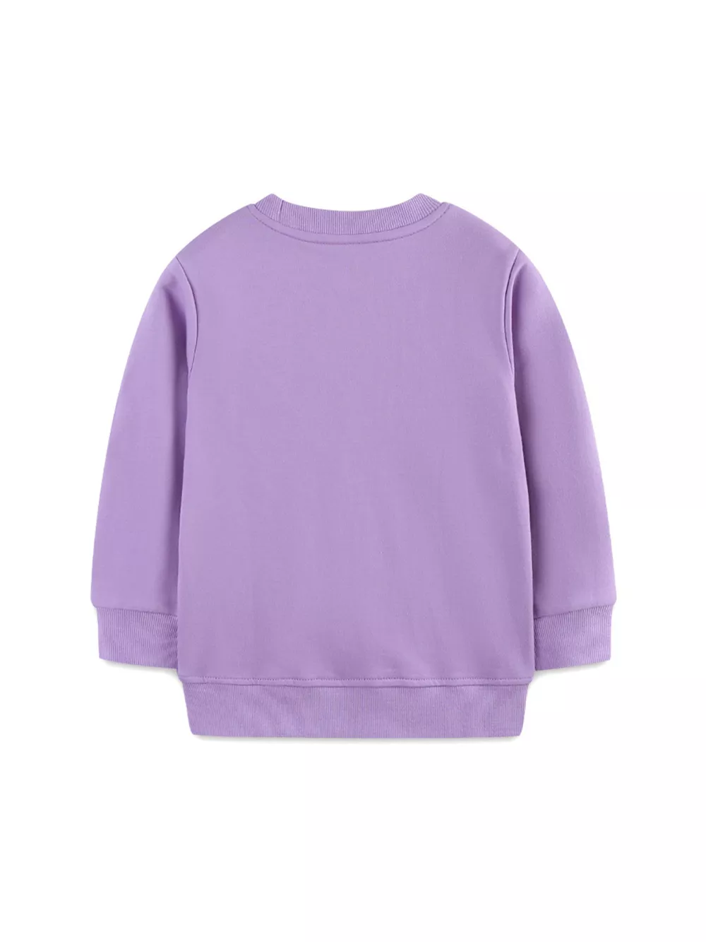 Children's Dinosaur Graphic Round Neck Sweatshirt, image 3