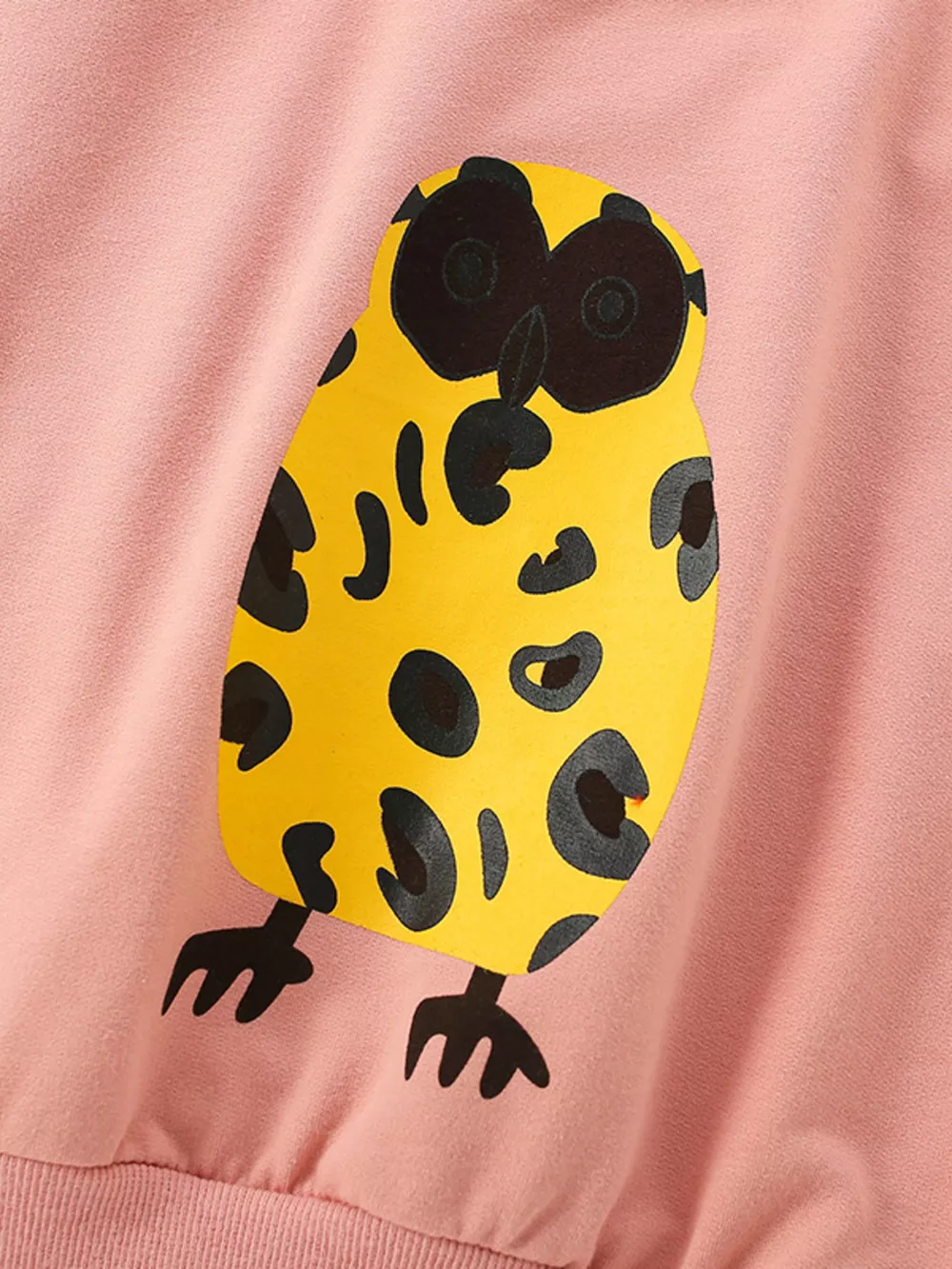 Children's Owl Graphic Crew Neck Sweatshirt, image 7