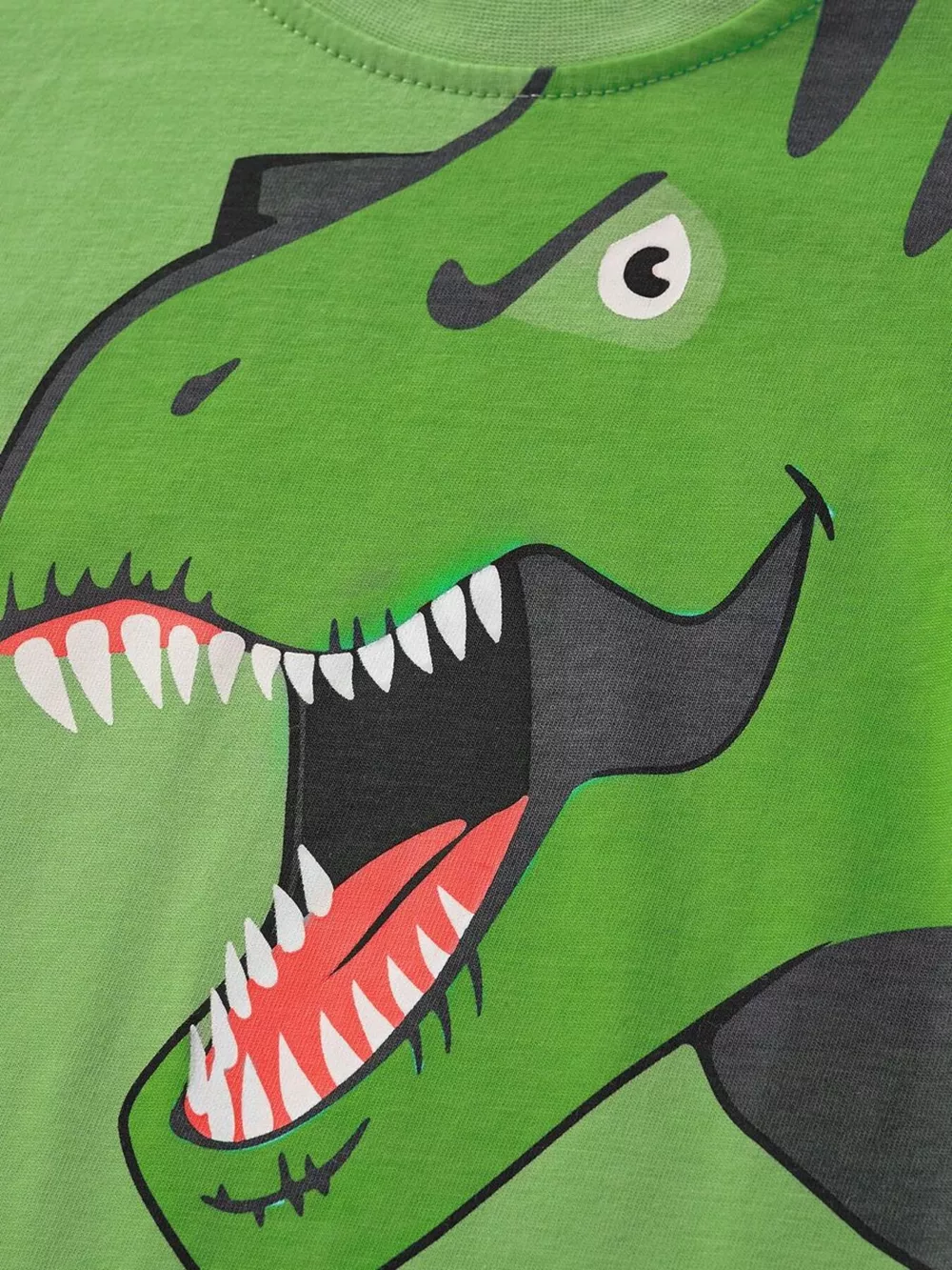 Children's Dinosaur Graphic Tee and Shorts Set, image 4
