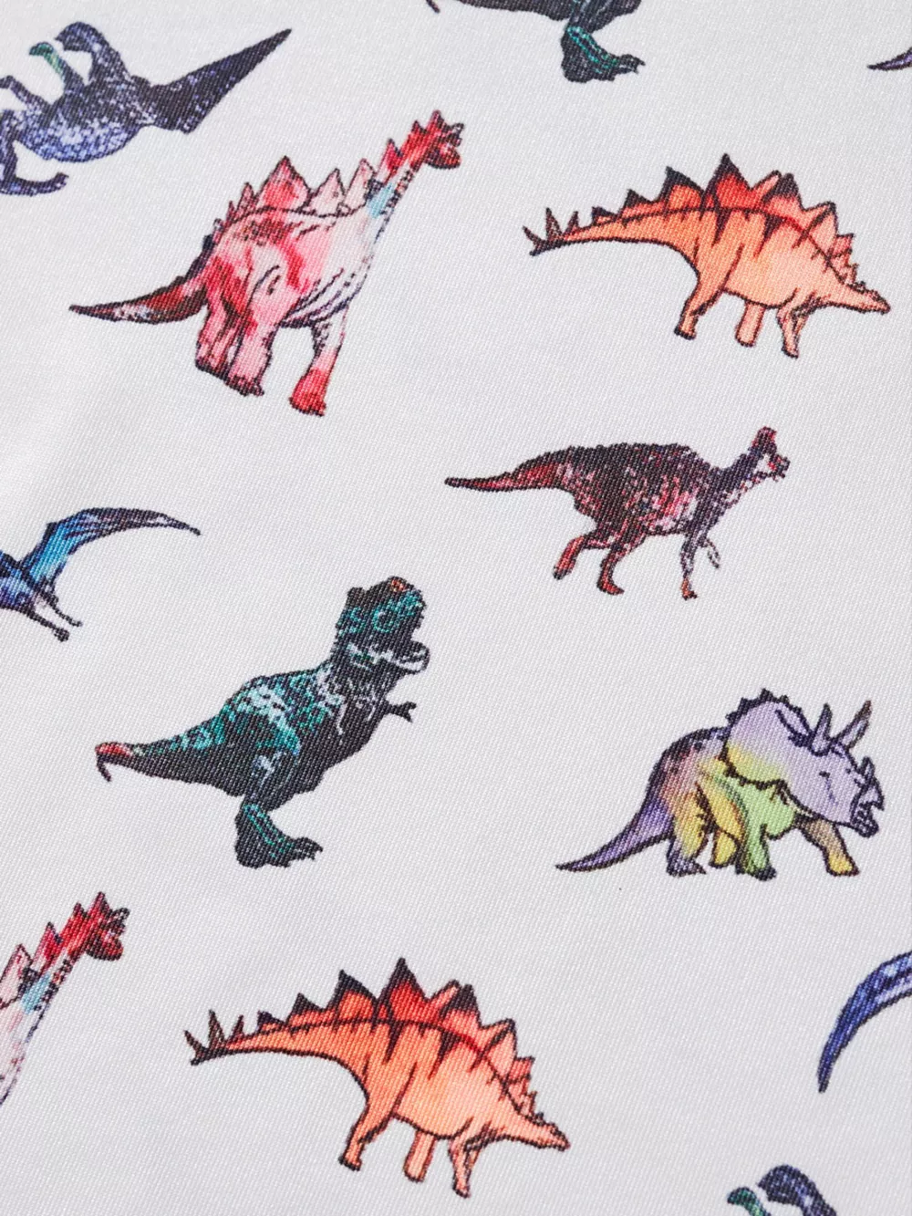 Children's Dinosaur Print Round Neck Top and Shorts Set, image 5