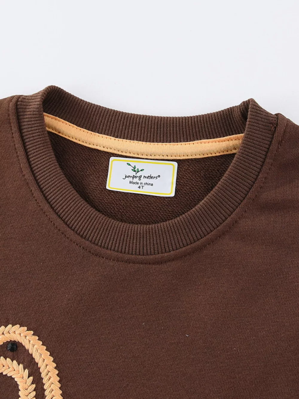 Children's Dinosaur Embroidered Crew Neck Sweatshirt, image 3