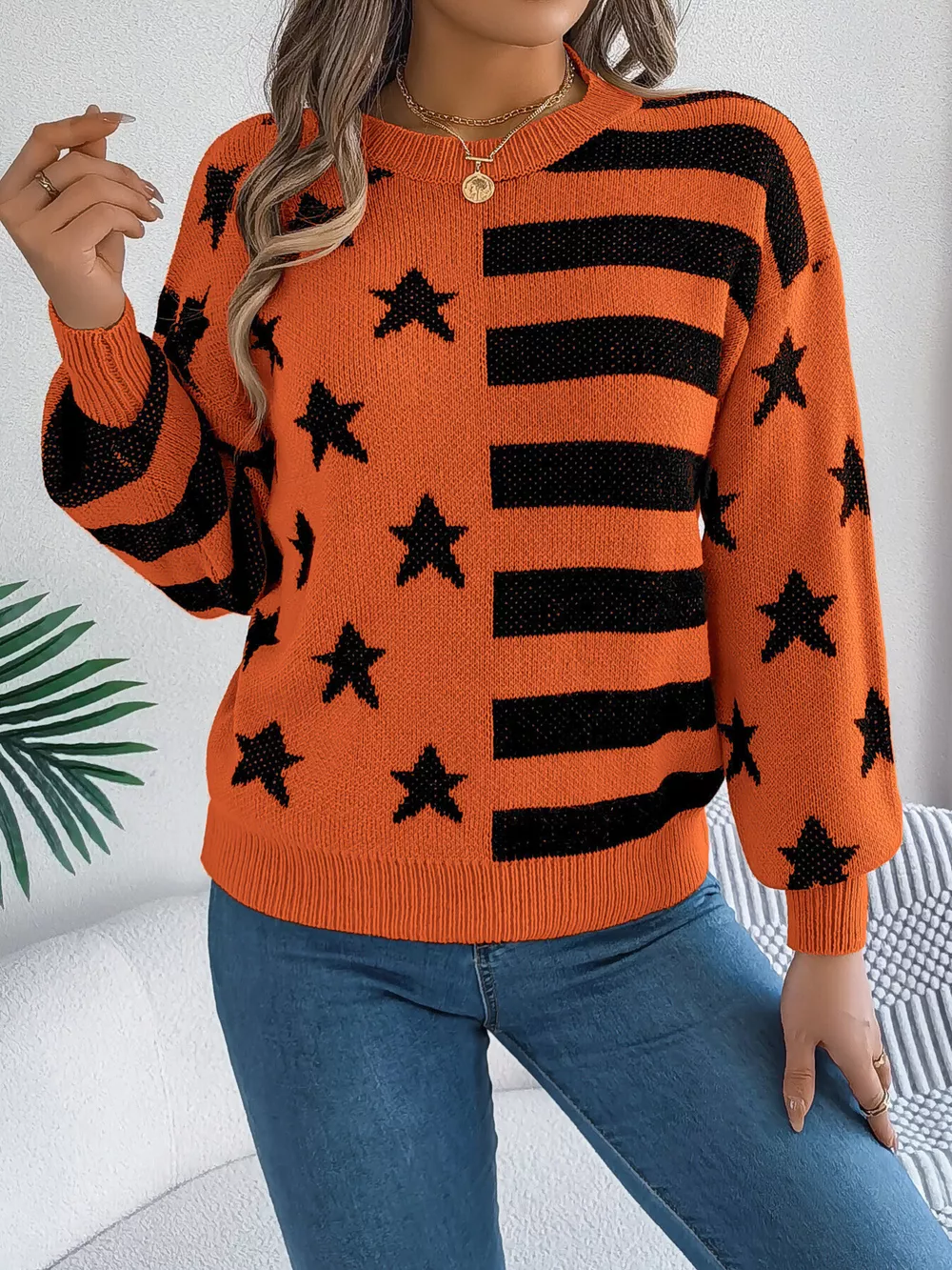 Stars and Stripes Pattern Casual Round Neck Sweater, image 14