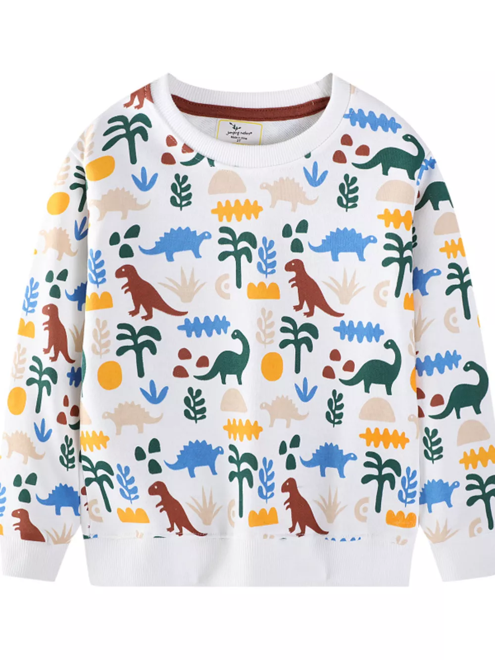 Children's Dinosaur Print Crew Neck Sweatshirt