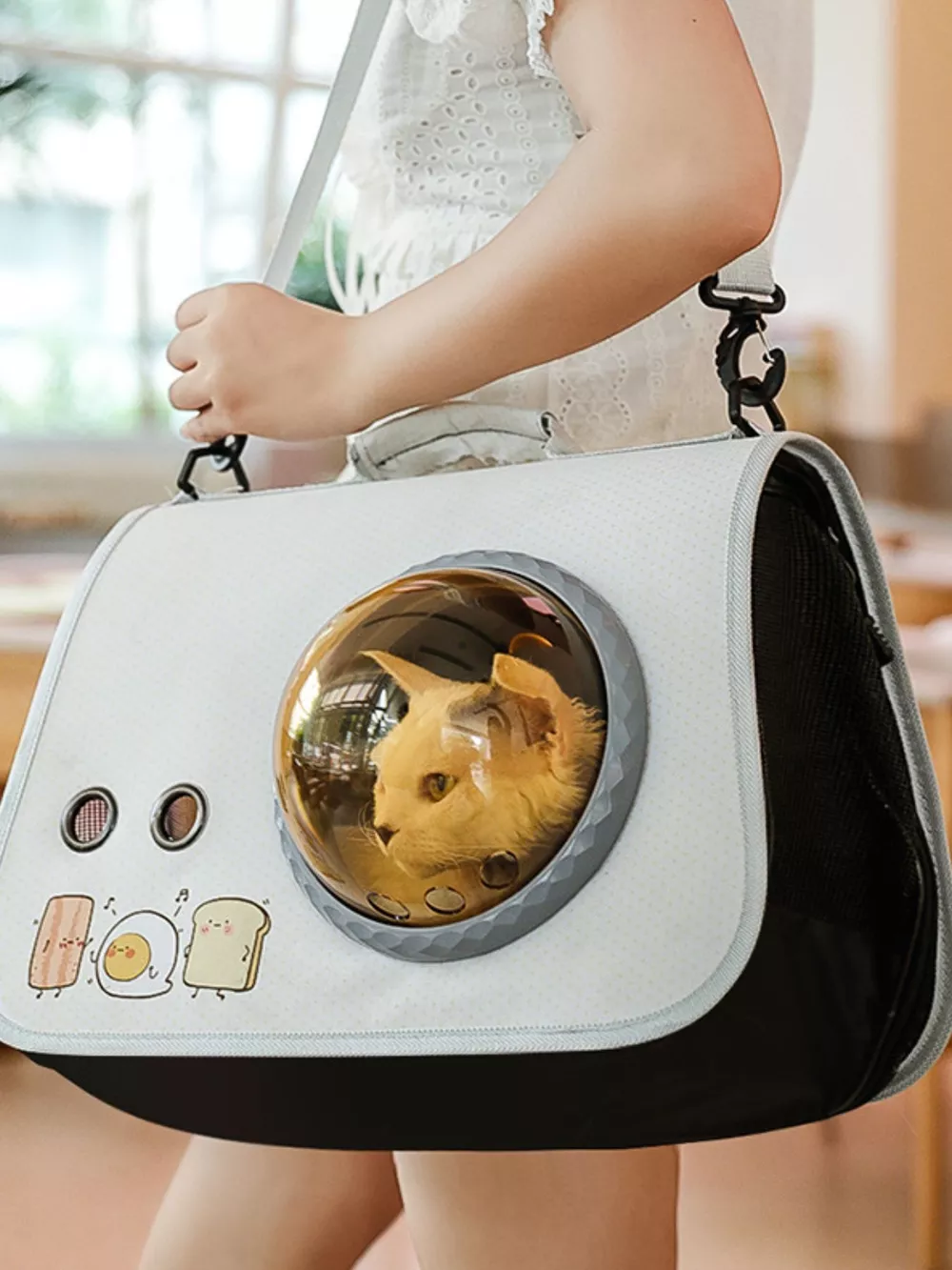 Portable Bubble Window Pet Carrier Bag, image 4