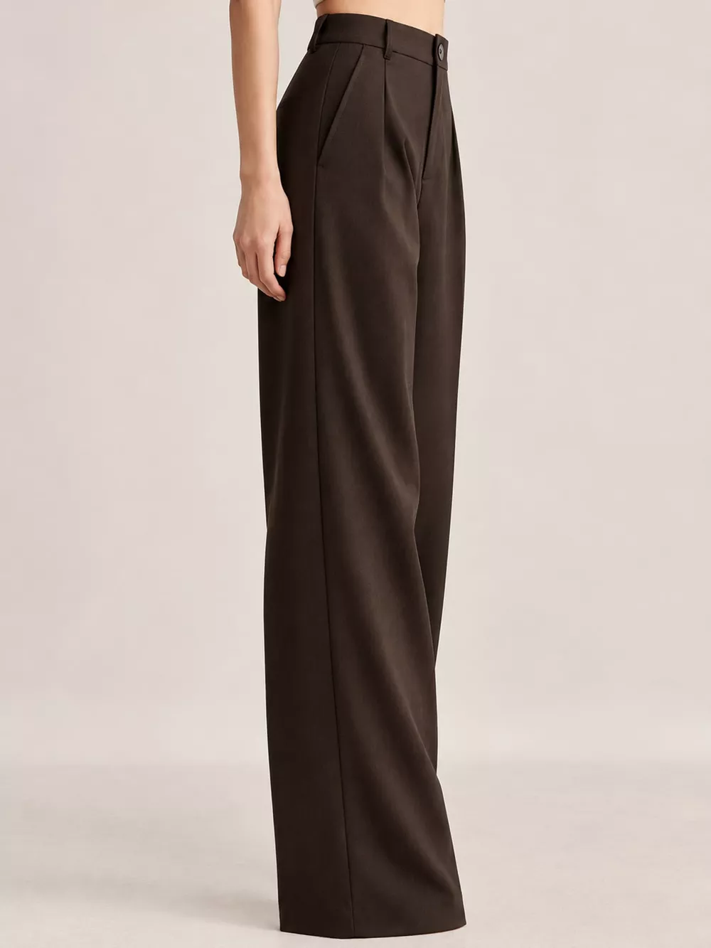 High-Waisted Pleated Wide-Leg Pants, image 9