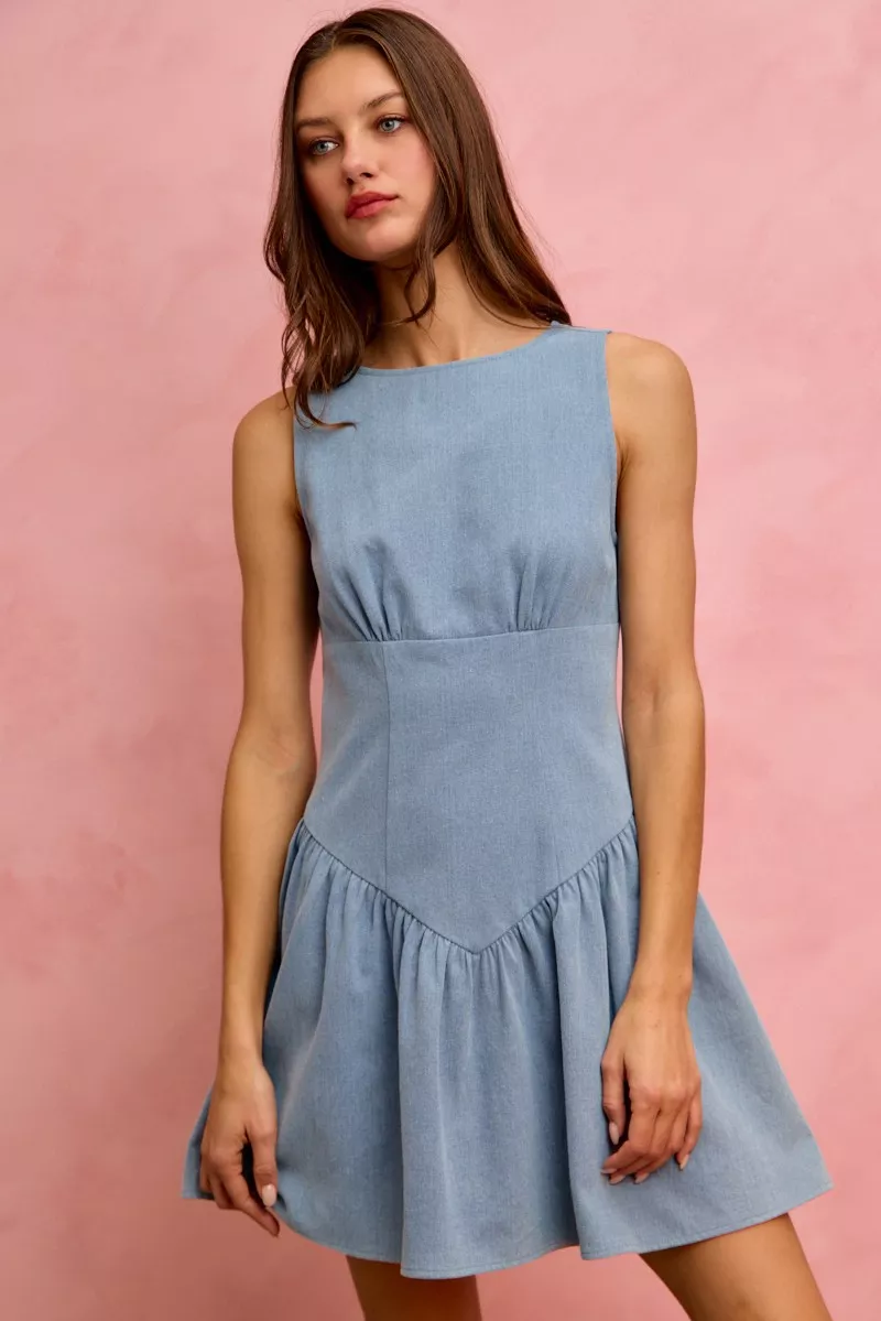 Fit And Flare Sleeveless Denim Mini Dress