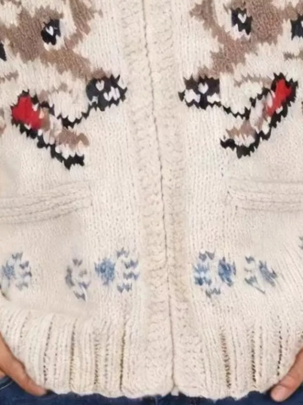 Men's Full Size Animal Chunky Knit Zip-Up Cardigan Plus Size, image 3