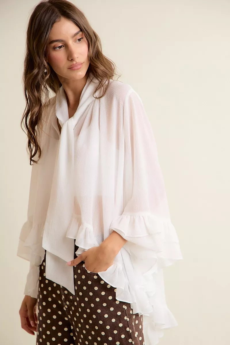 Sheer Ruffle Bell Sleeves Bow Tie Flowy Blouse Top, image 9