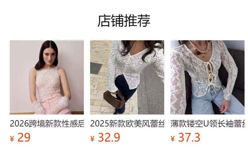 Lace Round Neck Long Sleeve Top, image 31